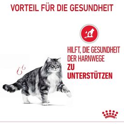 ROYAL CANIN Urinary Care in Salsa 12x85 g - 1.020 g