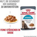 Royal Canin Urinary Care in Soße 12x85g - 1.020 g