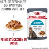 Royal Canin Urinary Care in Soße 12x85g