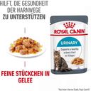 Royal Canin Urinary Care in Gelee 12x85g - 1.020 g