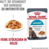 Royal Canin Urinary Care in Gelee 12x85g