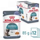 ROYAL CANIN Hairball Care in Gelatina 12x85 g - 1.020 g