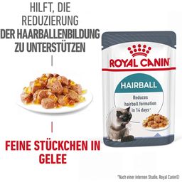 ROYAL CANIN Hairball Care in Gelatina 12x85 g - 1.020 g