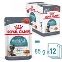 ROYAL CANIN Hairball Care in Salsa 12x85 g - 1.020 g