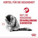 Royal Canin Hairball Care in Soße 12x85g - 1.020 g