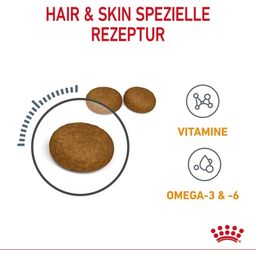 Royal Canin Mačja hrana Hair & Skin Care - 400 g