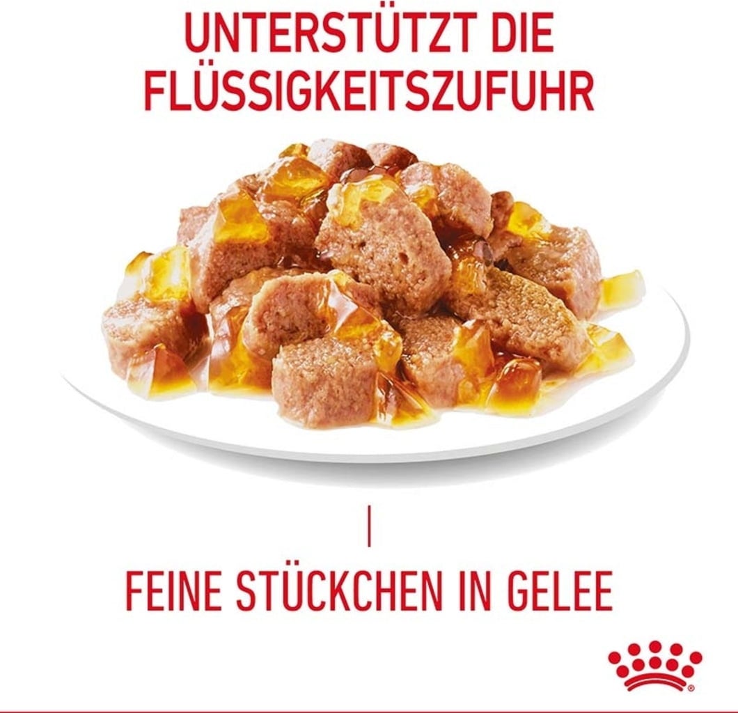 Royal Canin Hair & Skin in Gelee 12x85g - 1.020 g