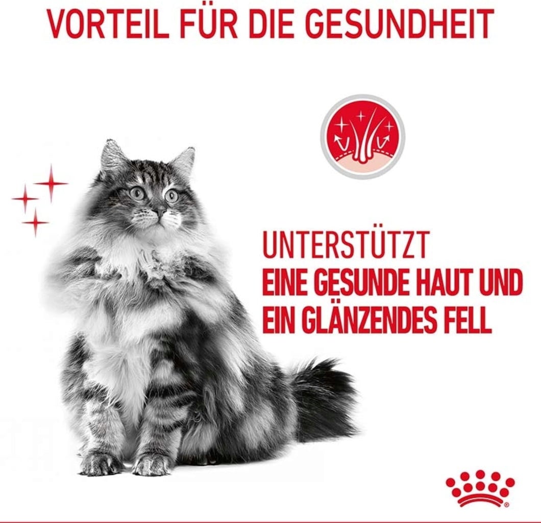Royal Canin Hair & Skin in Gelee 12x85g - 1.020 g