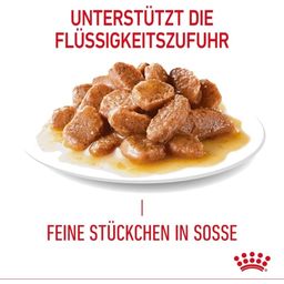 Royal Canin Hair & Skin in Soße 12x85g - 1.020 g