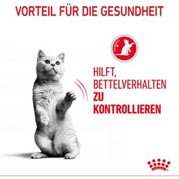 Royal Canin Appetite Control in Soße 12x85g - 1.020 g