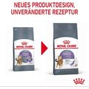 Royal Canin Appetite Control - 3,5 kg