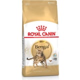 Royal Canin Mačja hrana Bengal Adult