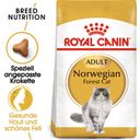 Royal Canin Norwegian Forest Cat Adult - 400 g