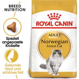 Royal Canin Norwegian Forest Cat Adult - 400 g