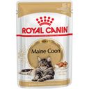 Royal Canin Maine Coon Adult in Soße 12x85 g - 1.020 g