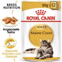 Royal Canin Maine Coon Adult in Soße 12x85 g - 1.020 g