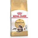 Royal Canin Maine Coon Adult - 2 kg