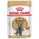 British Shorthair Adult in Salsa, 12x85 g - 1.020 g