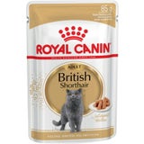 British Shorthair Adult in Salsa, 12x85 g