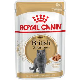 British Shorthair Adult in Salsa, 12x85 g - 1.020 g