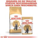 Royal Canin British Shorthair Adult in Soße 12x85 g - 1.020 g