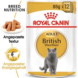Royal Canin British Shorthair Adult in Soße 12x85 g - 1.020 g