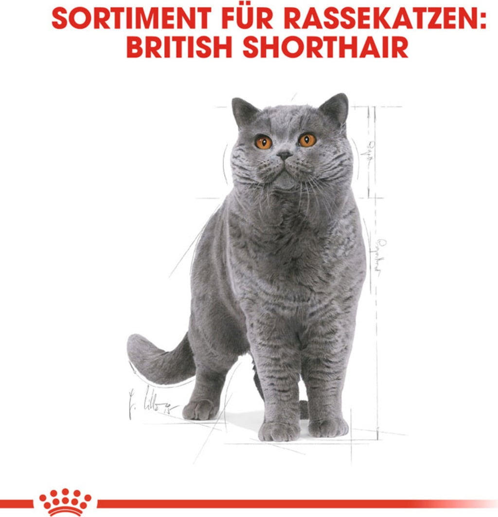 Royal Canin British Shorthair Adult - 400 g