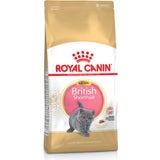 Royal Canin Mačja hrana Kitten British Shorthair