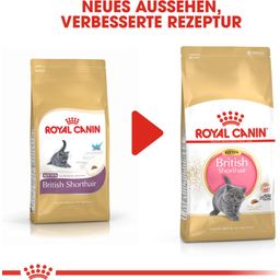 Royal Canin Kitten British Shorthair - 10 kg