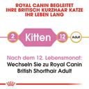Royal Canin Kitten British Shorthair - 400 g