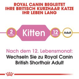 Royal Canin Kitten British Shorthair - 400 g