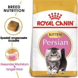 Royal Canin Kitten Persian - 2 kg