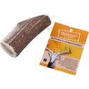 Chewies Gímszarvas agancs - L