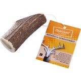 Chewies Gímszarvas agancs