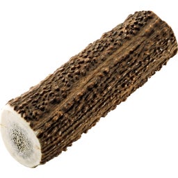 Chewies Gímszarvas agancs - L