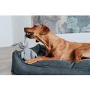 Hunter Hundesofa Eiby blau - L