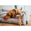 Hunter Hundesofa Eiby grau - S