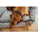 Hunter Hundesofa Eiby grau - L