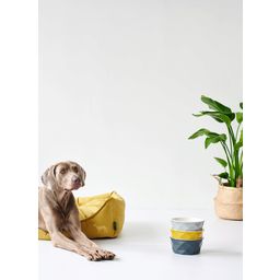 Hunter Hundesofa Eiby gelb - L