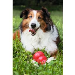 Hundespielzeug KONG Classic rot - L