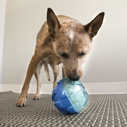 Hundespielzeug KONG Rewards Ball L - 1 Stk