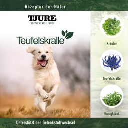 Tjure Teufelskralle Liquid - 1 l