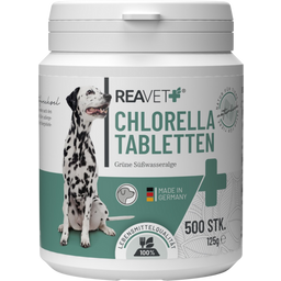 REAVET Chlorella Tabletten für Hunde - 500 Stk