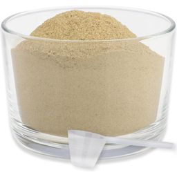 REAVET Grünlippmuschel Pulver - 500 g