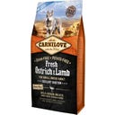 Trockenfutter Fresh Ostrich & Lamb, Small Breed Dogs - 6 kg