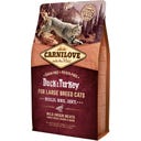 Trockenfutter Duck & Turkey - Large Breed Cats - 2 kg