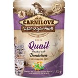 Wild-Origin Fillets 'Rich in Quail' - Adult Cats