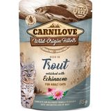 Wild-Origin Fillets 'Rich in Trout' - Adult Cats