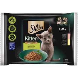 Sheba Kitten - različice vomaki, 4 x 85 g - 340 g