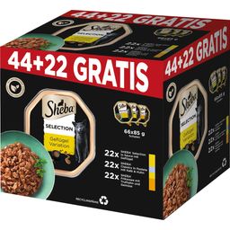Schale Pluspack 44 + 22 Gratis (3 Sorten) - 5,61 kg